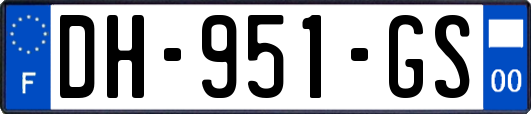 DH-951-GS