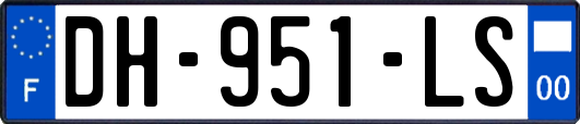 DH-951-LS