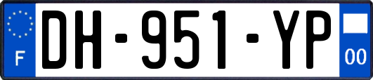 DH-951-YP
