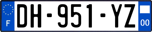 DH-951-YZ