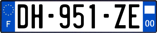 DH-951-ZE