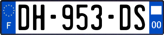 DH-953-DS