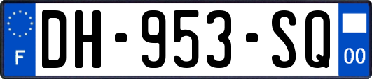 DH-953-SQ