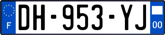 DH-953-YJ