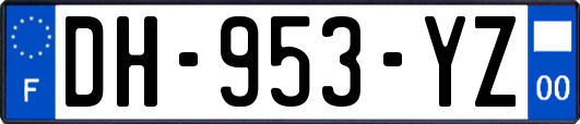 DH-953-YZ