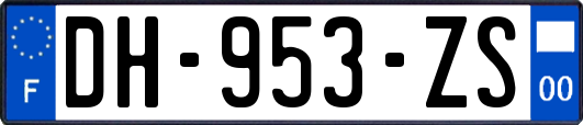 DH-953-ZS