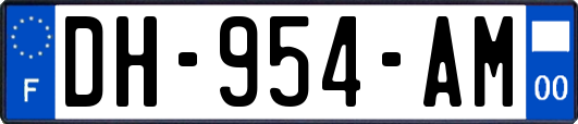 DH-954-AM