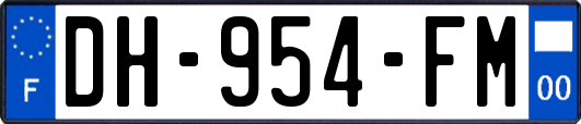DH-954-FM