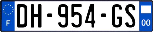 DH-954-GS