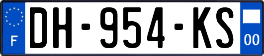DH-954-KS