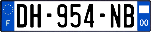 DH-954-NB