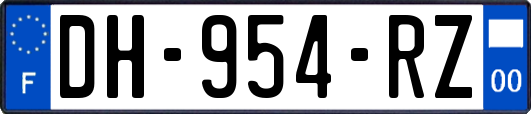 DH-954-RZ