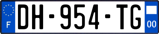 DH-954-TG