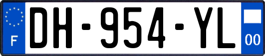 DH-954-YL