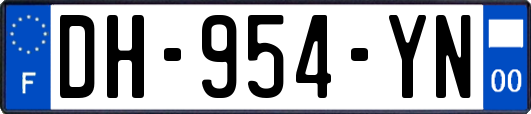 DH-954-YN