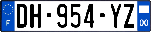 DH-954-YZ