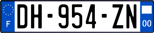 DH-954-ZN
