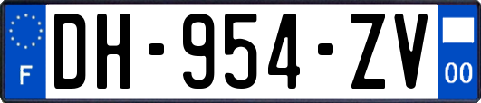 DH-954-ZV