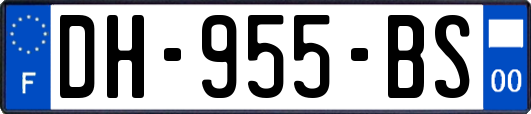 DH-955-BS