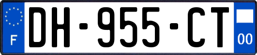 DH-955-CT