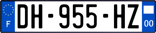 DH-955-HZ