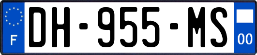 DH-955-MS