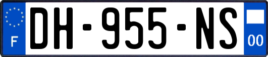 DH-955-NS