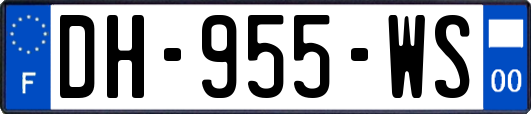 DH-955-WS