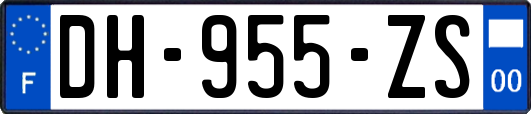 DH-955-ZS