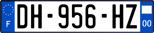 DH-956-HZ