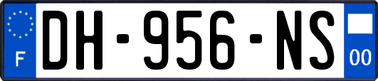 DH-956-NS