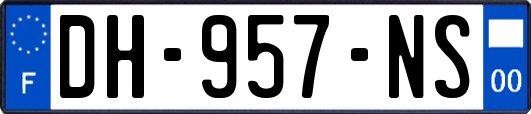 DH-957-NS
