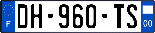 DH-960-TS