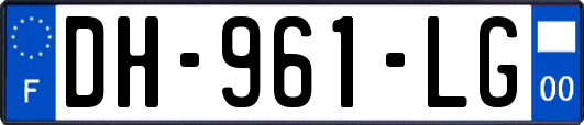 DH-961-LG