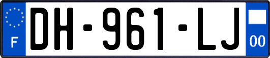 DH-961-LJ