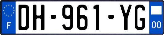 DH-961-YG