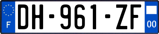 DH-961-ZF