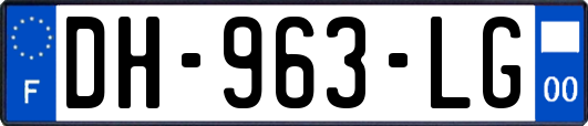 DH-963-LG