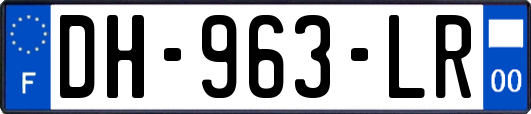 DH-963-LR