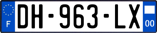 DH-963-LX