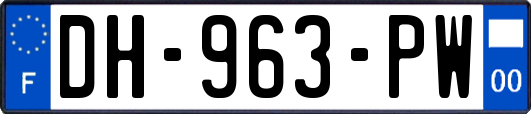 DH-963-PW