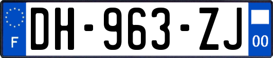 DH-963-ZJ