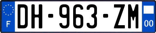 DH-963-ZM