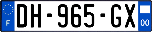 DH-965-GX