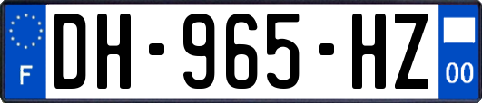 DH-965-HZ