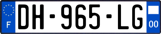 DH-965-LG