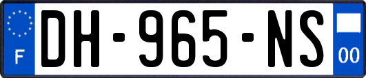 DH-965-NS