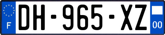 DH-965-XZ