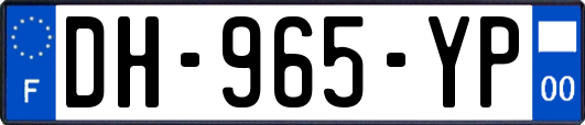DH-965-YP