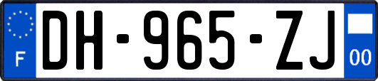 DH-965-ZJ